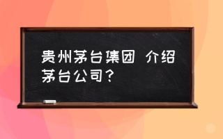 贵州茅台集团 介绍茅台公司？