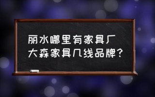 丽水哪里有家具厂 大森家具几线品牌？