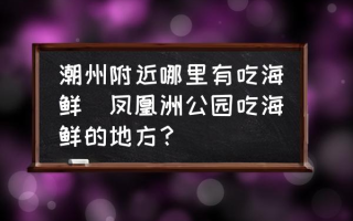 潮州附近哪里有吃海鲜(凤凰洲公园吃海鲜的地方？)