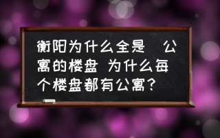 衡阳为什么全是帯公寓的楼盘 为什么每个楼盘都有公寓？