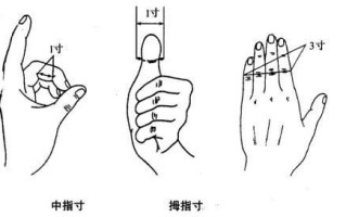 一寸是多少厘米）（一寸约是多少厘米）