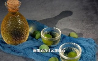 酿果酒为什么加白酒,酿果酒为什么加白酒呢