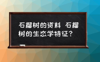 石榴树的资料 石榴树的生态学特征？