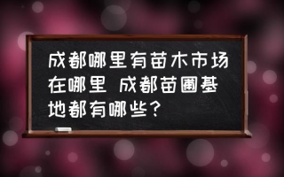 成都哪里有苗木市场在哪里 成都苗圃基地都有哪些？