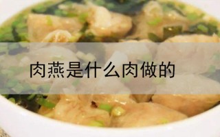 肉燕是什么肉做的