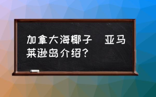 加拿大海椰子(亚马莱逊岛介绍？)