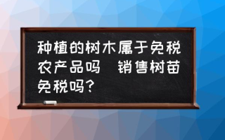 种植的树木属于免税农产品吗(销售树苗免税吗？)