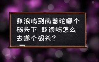 鼓浪屿到南普陀哪个码头下 鼓浪屿怎么去哪个码头？