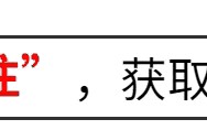 太有创意！青岛地铁吃瓜墙出圈！众人围观！网友：硬控我一整天-青岛在运行的地铁