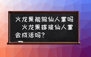 火龙果能做仙人掌吗(火龙果嫁接仙人掌会成活吗？)