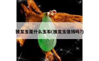 独龙玉是什么玉种(独龙玉值钱吗?)