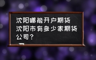 沈阳哪能开户期货(沈阳市有多少家期货公司？)