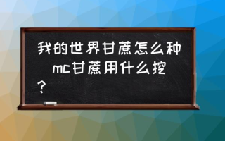 我的世界甘蔗怎么种(mc甘蔗用什么挖？)