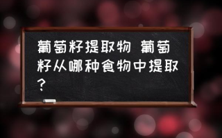 葡萄籽提取物 葡萄籽从哪种食物中提取？