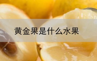 黄金果是什么水果