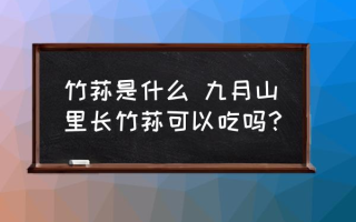 竹荪是什么 九月山里长竹荪可以吃吗？