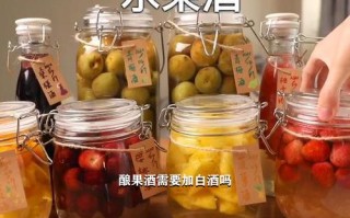 酿果酒需要加白酒吗,酿果酒需要加白酒吗为什么