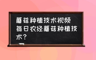 蘑菇种植技术视频(每日农经蘑菇种植技术？)