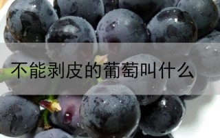 不能剥皮的葡萄叫什么