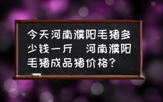 今天河南濮阳毛猪多少钱一斤(河南濮阳毛猪成品猪价格？)