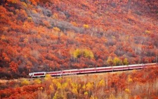 老年旅游专列价格表（18日最美夕阳红专列带您游遍半个南中国！）