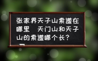 张家界天子山索道在哪里(天门山和天子山的索道哪个长？)