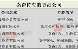 秦嗣新（秦嗣新、秦奋父子财富来源之谜）