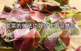 苋菜的做法功效与作用及禁忌