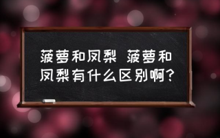 菠萝和凤梨 菠萝和凤梨有什么区别啊？