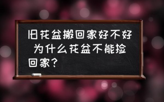 旧花盆搬回家好不好 为什么花盆不能捡回家？