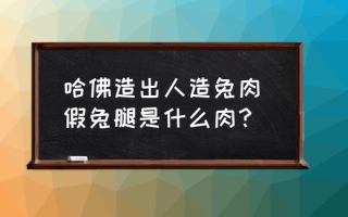 哈佛造出人造兔肉 假兔腿是什么肉？