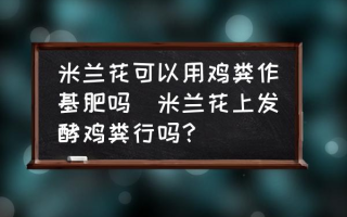 米兰花可以用鸡粪作基肥吗(米兰花上发酵鸡粪行吗？)