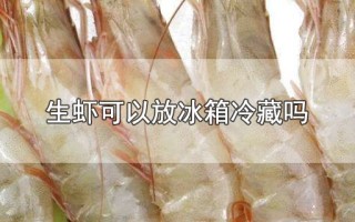 生虾可以放冰箱冷藏吗