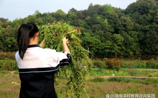 叛逆青少年封闭式学校（叛逆青少年的管教问题）