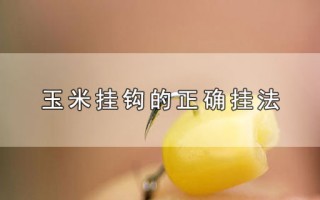 玉米挂钩的正确挂法