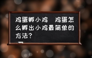 鸡蛋孵小鸡(鸡蛋怎么孵出小鸡最简单的方法？)