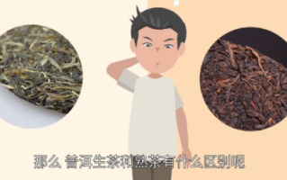 普洱生茶跟熟茶有什么区别