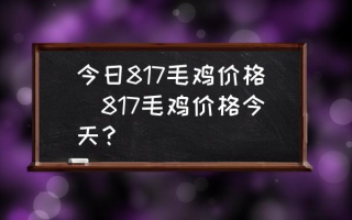 今日817毛鸡价格(817毛鸡价格今天？)