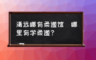 清远哪有柔道馆(哪里有学柔道？)