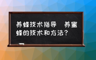 养蜂技术指导(养蜜蜂的技术和方法？)