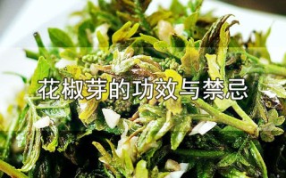 花椒芽的功效与禁忌