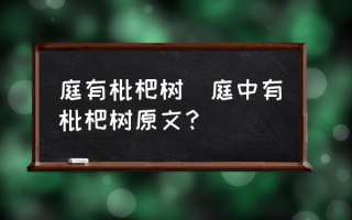 庭有枇杷树(庭中有枇杷树原文？)