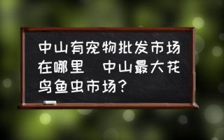 中山有宠物批发市场在哪里(中山最大花鸟鱼虫市场？)