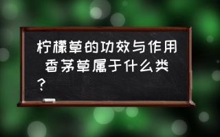 柠檬草的功效与作用 香茅草属于什么类？