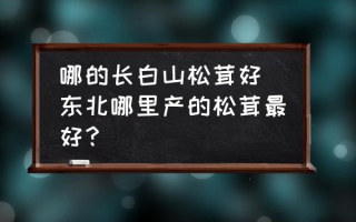 哪的长白山松茸好 东北哪里产的松茸最好？