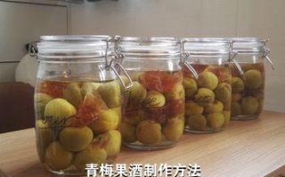 青梅果酒制作方法,青梅果酒制作方法视频