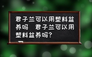 君子兰可以用塑料盆养吗(君子兰可以用塑料盆养吗？)