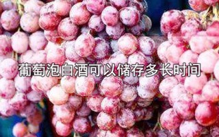 葡萄泡白酒可以储存多长时间