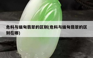 危料翡翠有什么特点（如何简单辨别翡翠危料）